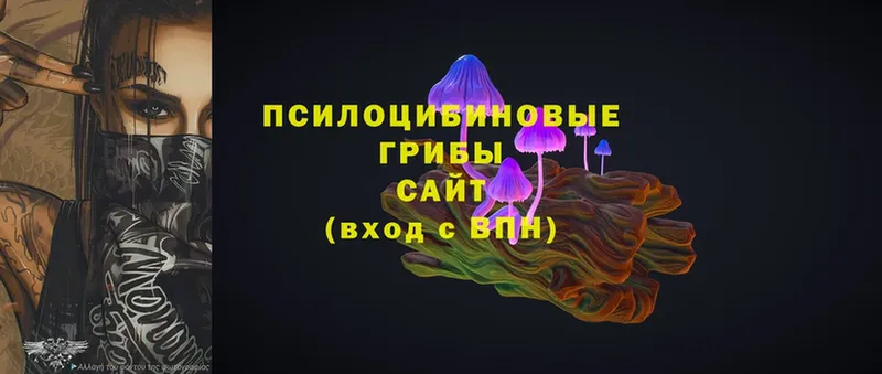 Галлюциногенные грибы Magic Shrooms  цены   Белебей 